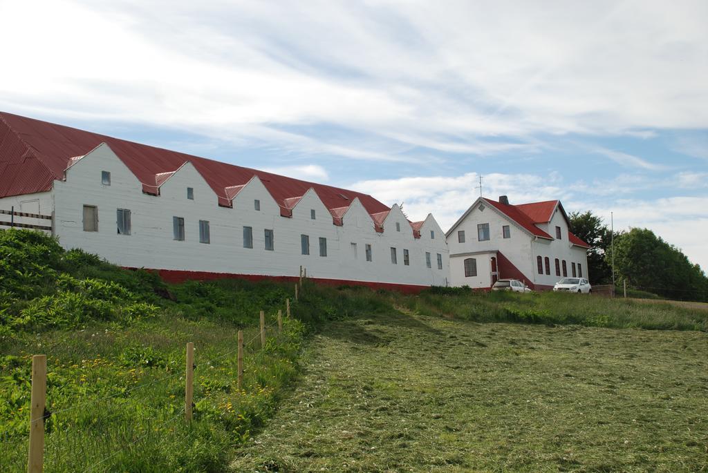 Helluland Guesthouse Saudarkrokur Exterior foto